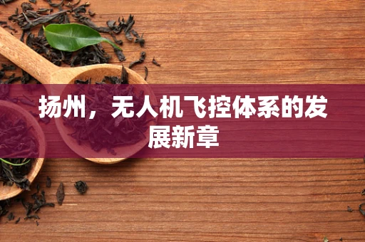 扬州，无人机飞控体系的发展新章