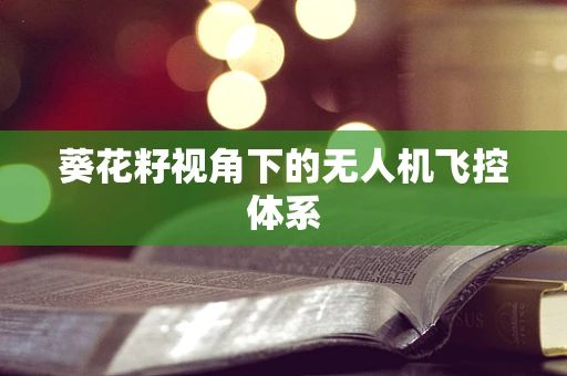 葵花籽视角下的无人机飞控体系