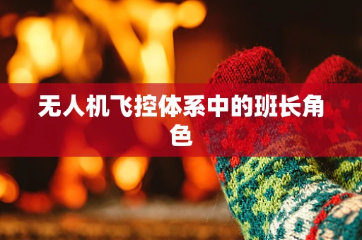无人机飞控体系中的班长角色
