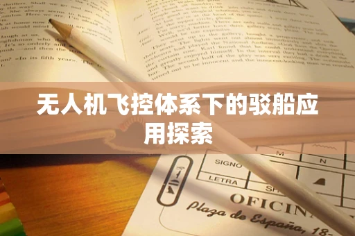 无人机飞控体系下的驳船应用探索