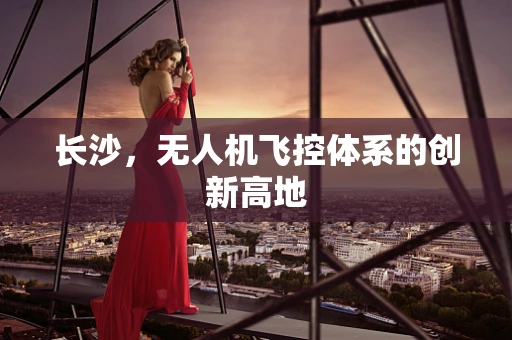 长沙，无人机飞控体系的创新高地
