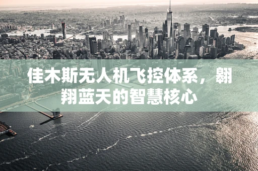 佳木斯无人机飞控体系，翱翔蓝天的智慧核心