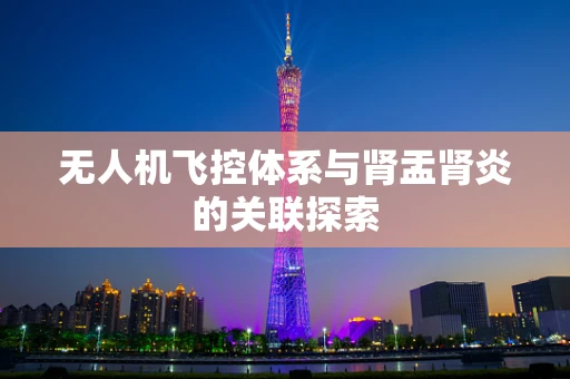 无人机飞控体系与肾盂肾炎的关联探索
