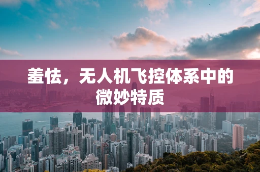 羞怯，无人机飞控体系中的微妙特质