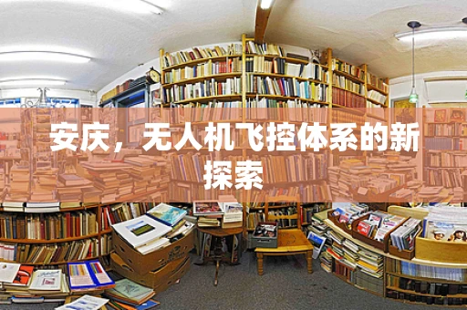 安庆，无人机飞控体系的新探索