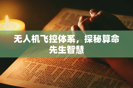 无人机飞控体系，探秘算命先生智慧