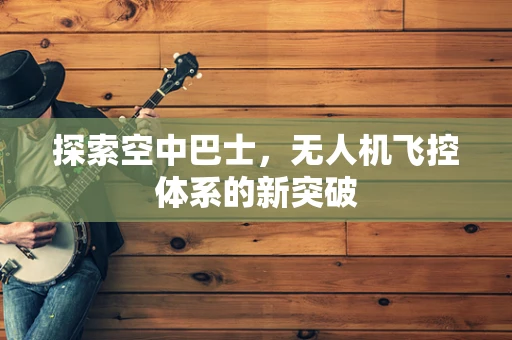 探索空中巴士，无人机飞控体系的新突破