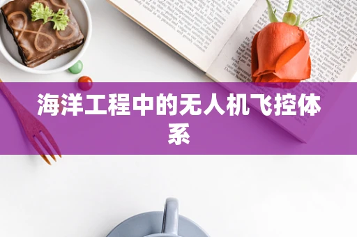 海洋工程中的无人机飞控体系