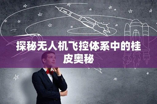 探秘无人机飞控体系中的桂皮奥秘