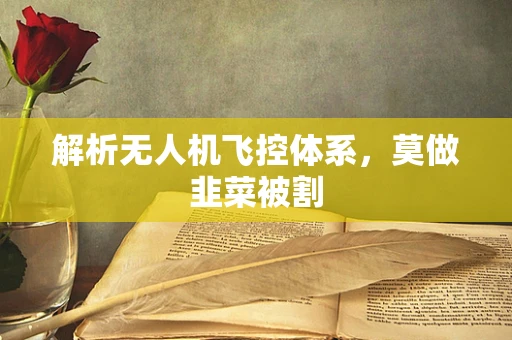 解析无人机飞控体系，莫做韭菜被割