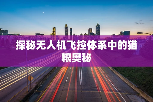 探秘无人机飞控体系中的猫粮奥秘