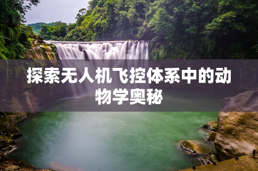 探索无人机飞控体系中的动物学奥秘