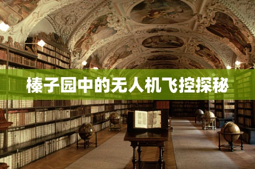 榛子园中的无人机飞控探秘