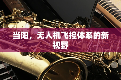 当阳，无人机飞控体系的新视野