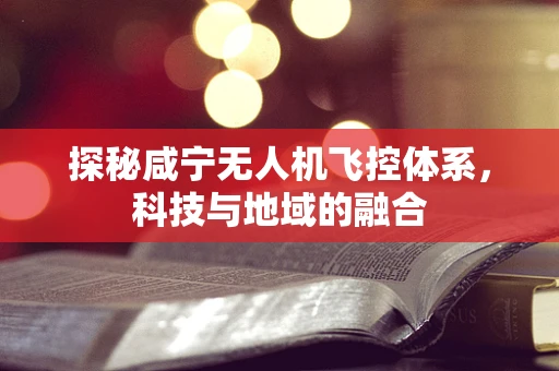探秘咸宁无人机飞控体系，科技与地域的融合