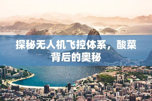 探秘无人机飞控体系，酸菜背后的奥秘