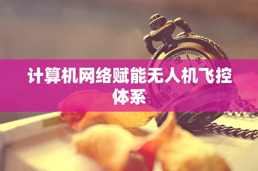 计算机网络赋能无人机飞控体系