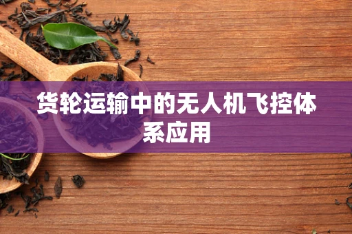 货轮运输中的无人机飞控体系应用