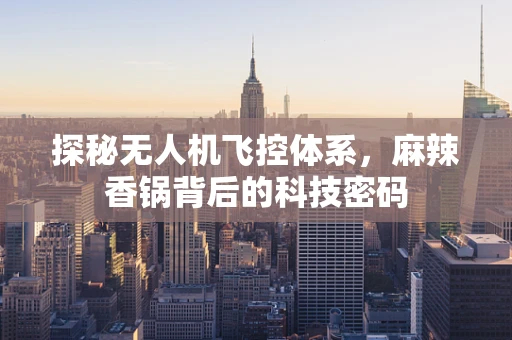 探秘无人机飞控体系，麻辣香锅背后的科技密码