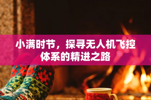 小满时节，探寻无人机飞控体系的精进之路