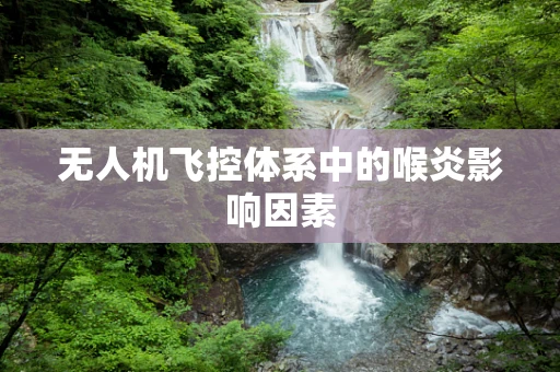 无人机飞控体系中的喉炎影响因素