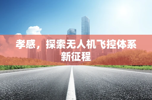 孝感，探索无人机飞控体系新征程