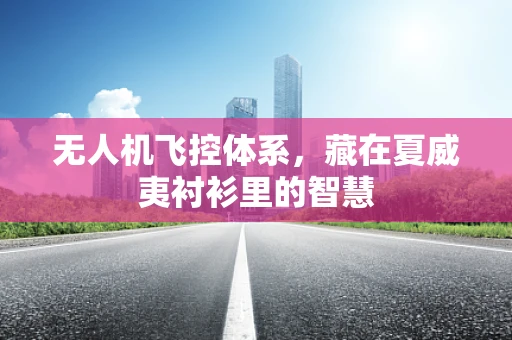 无人机飞控体系，藏在夏威夷衬衫里的智慧