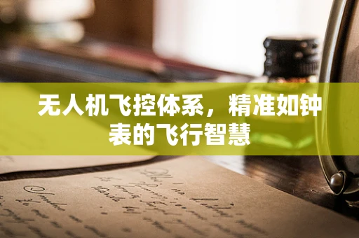 无人机飞控体系，精准如钟表的飞行智慧