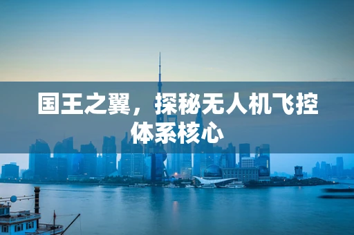 国王之翼，探秘无人机飞控体系核心