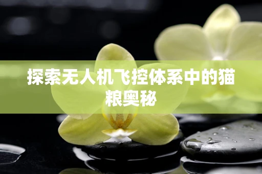 探索无人机飞控体系中的猫粮奥秘