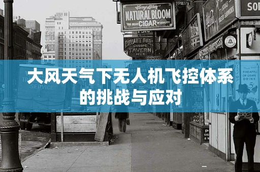 大风天气下无人机飞控体系的挑战与应对